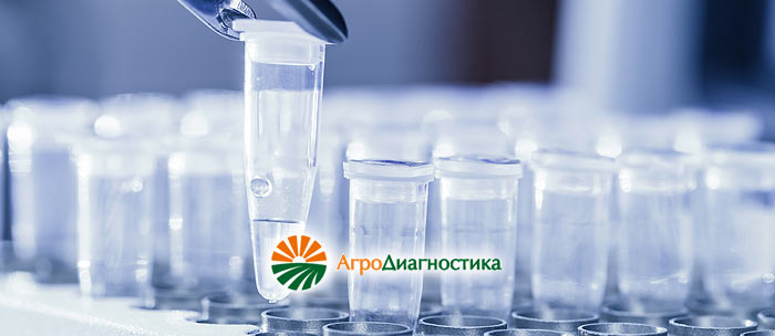 Карантин